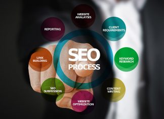 pozycjonowanie whitenet